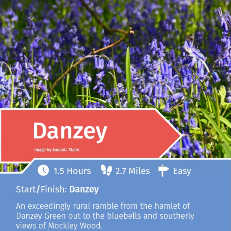 Danzey rail trail information taken from PDF