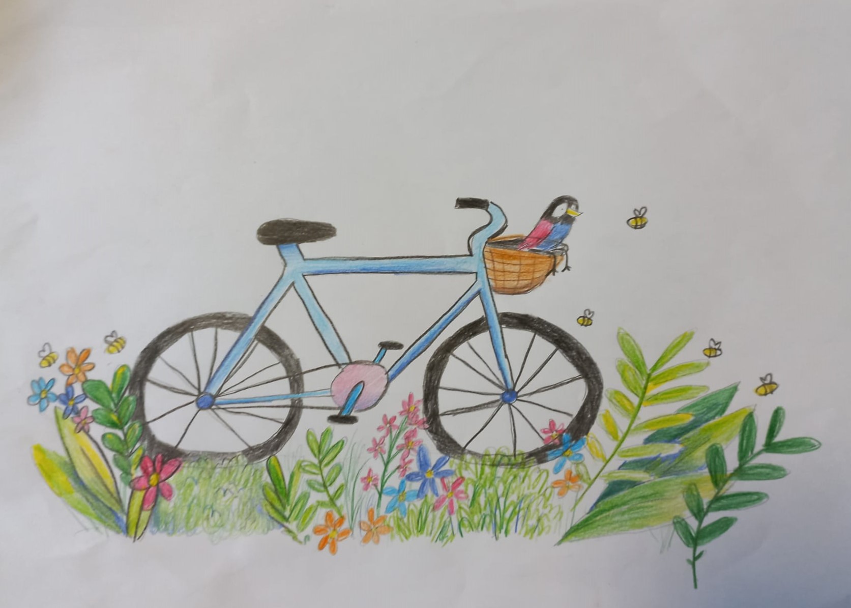 Drawing of a blue bike with a basket on the front.  There is a bird in the basket and the bike is surrounded by grass and flowers.